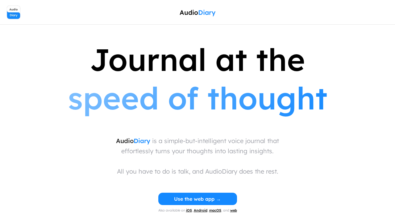 Audio Diary preview