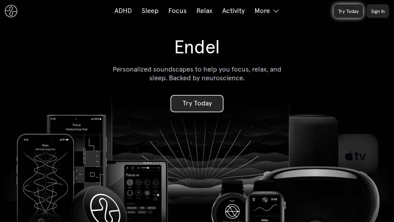 Endel preview